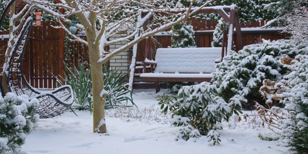 8 tipů co dělat na zahradě během zimy