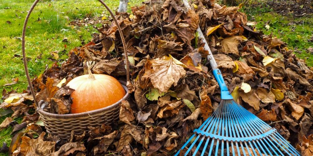 Péče o zahradu na podzim – co se spadaným listím?