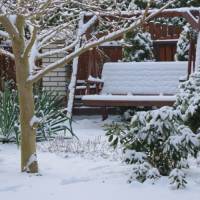 8 tipů co dělat na zahradě během zimy