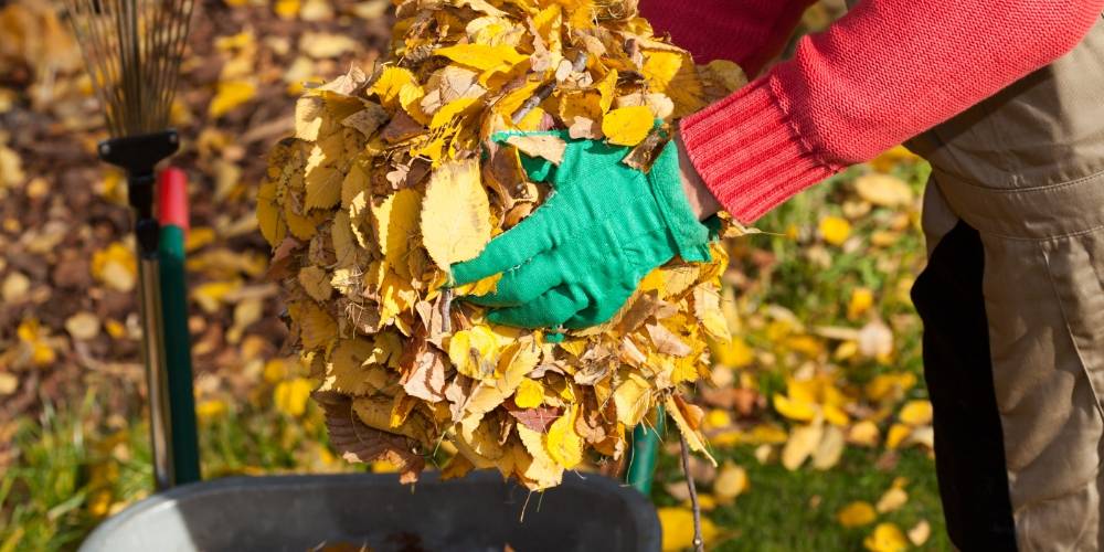5 věcí, které byste měli v říjnu na zahradě udělat