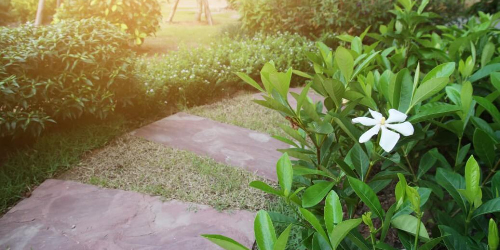 Tajemství „wow“ krásné předzahrádky: Návod, jak proměnit prostor před domem či u plotu na oázu klidu a reprezentativní vstup do domu Tajemství „wow“ krásné předzahrádky: Návod, jak proměnit prostor před domem či u plotu na oázu klidu a reprezentativní vstup do domu