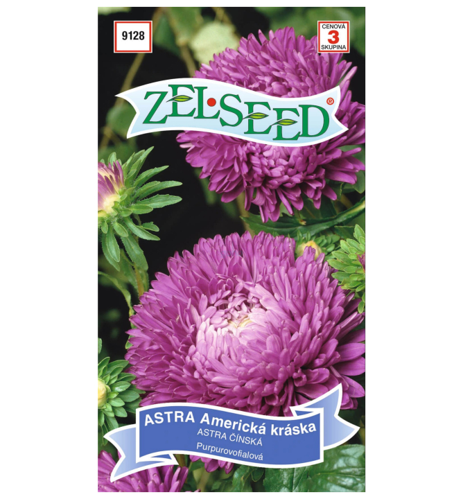 Semena - ASTRA AMERICKÁ KRÁSKA, purpurově fialová | Lumigreen.cz