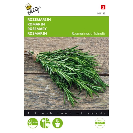 Rozmaryn Semena (rozmarýnových semen, mladé rostlinky, Salvia rosmarinus, houbovými chorobami) Rozmaryn Semena