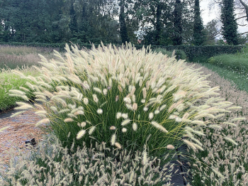 Obr�zok (2)