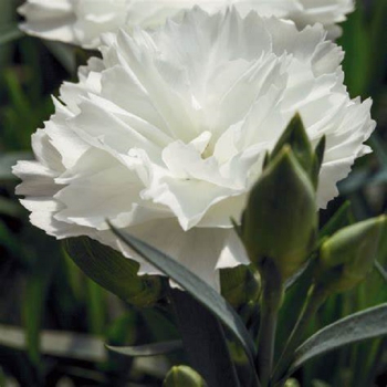 Obr�zok (1)