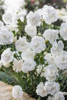 Obr�zok (2)
