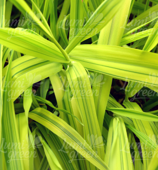 Obr�zok (7)