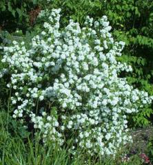 Obr�zok (4)