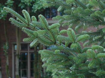 Obrzok (2)