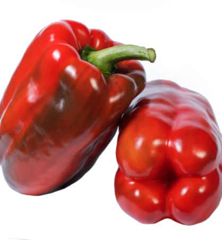 Paprika velkoplodá červená ´MACIO VIRGILIO F1´ kont. 0,5 l, štěpená