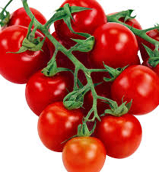 Raj�e cherrry �APERO F1� 6 ks v multiplate