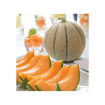 �LUT� MELOUN 'JENGA F1' kont. 0,5 l