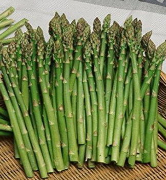 CH�EST L�KA�SK�, kont. 0,5 l