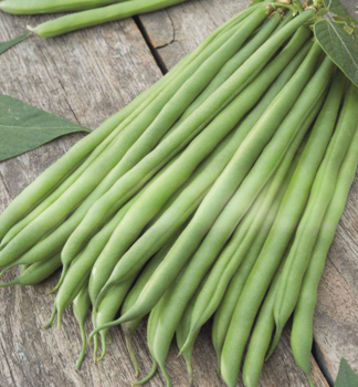 FAZOLE ke��kov� �PONGO� 12 ks v multiplate