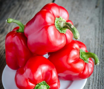 Paprika velkoplod� �erven� �BALUGA RED� kont. 1 l