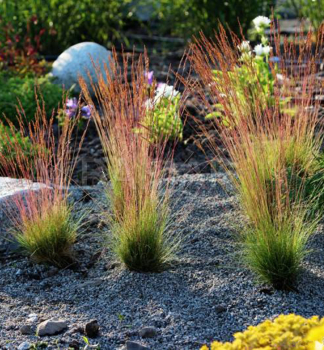 Kost�ava �WALBERLA� kont. 0,5 l