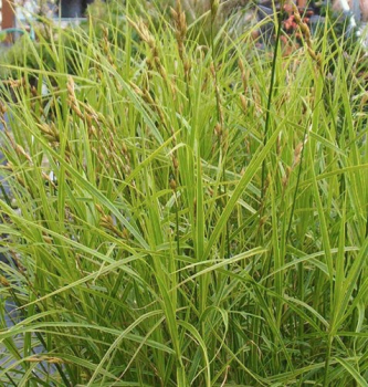 Obrzok (10)
