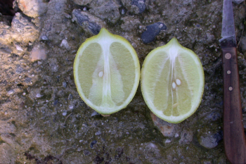 Obrzok (3)