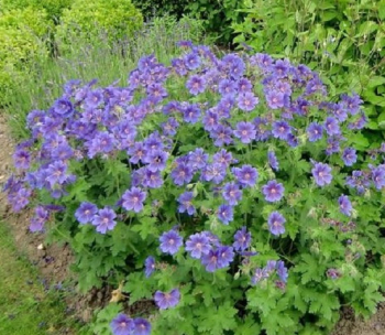 Obrzok (4)