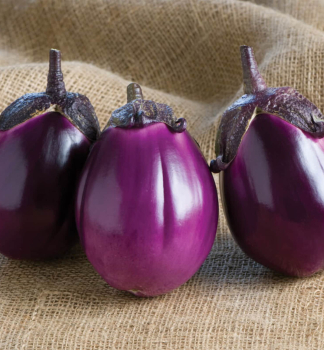 Lilek �BEATRICE F1�, kont. 0,5 l