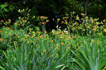 Obrázok (7) Obrázok (7)