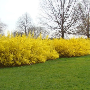 Obrzok (3)