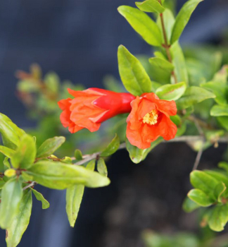 Obr�zok (6)