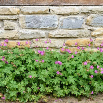 Obrázok (6) Obrázok (6)