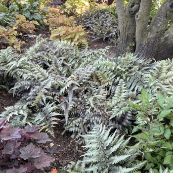 Obrzok (4)