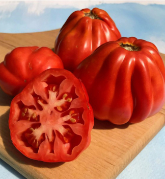 Raj�e ty�kov�  �CANESTRINO F1�, kont. 0,5 l