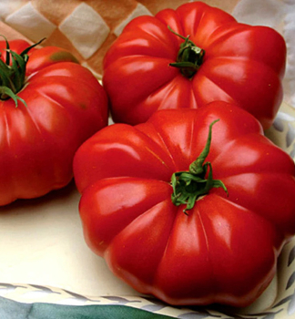 Raj�e ty�kov� �COSIMO F1�, kont. 0,5 l