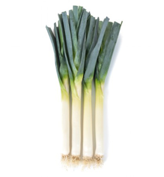 P�R �VOLUTUS F1�, 12 ks v multiplate