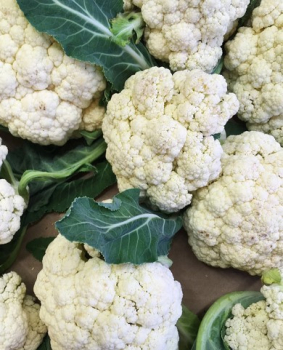 KV�T�K �DELTA F1� 6 ks v multiplate