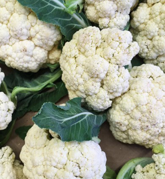 KV�T�K �DELTA F1� 6 ks v multiplate