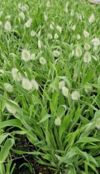 Obr�zok (5)
