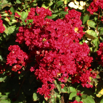 Obr�zok (2)