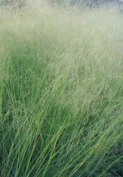 Obr�zok (5)