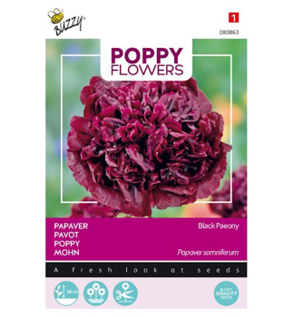 Semena - MK  POPPY BLACK PAEONY