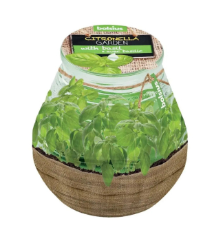 SVKA ve skle BOLSIUS Teracce Citronella, 94/91 mm, bazalka