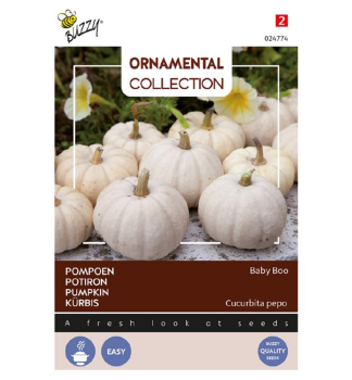 Semena - ORNAMENTAL OKRASN TYKEV BABY BOO