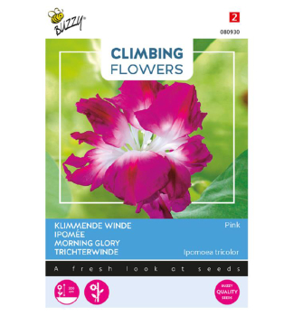 Semena - POVJNICE PINK MORNING GLORY