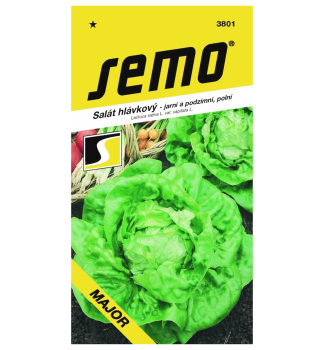 Semena - SALT JARN MAJOR