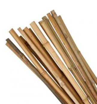 Bambusov� ty� 105 cm, 3 ks v balen�