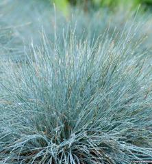 Obr�zok (4)