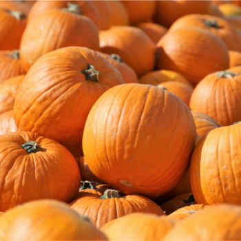 D��E �MAGICIAN F1� (Halloween) kont. 0,5 l