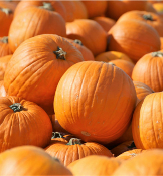 D��E �MAGICIAN F1� (Halloween) kont. 0,5 l
