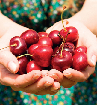 Tee IRENA, podn. Gisela 5, prostok.