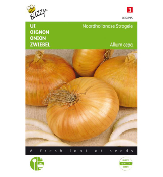 Semena - CIBULE NORTH HOLLAND YELLOW