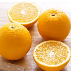 Obr�zok (2)