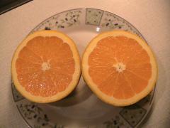 Obr�zok (3)